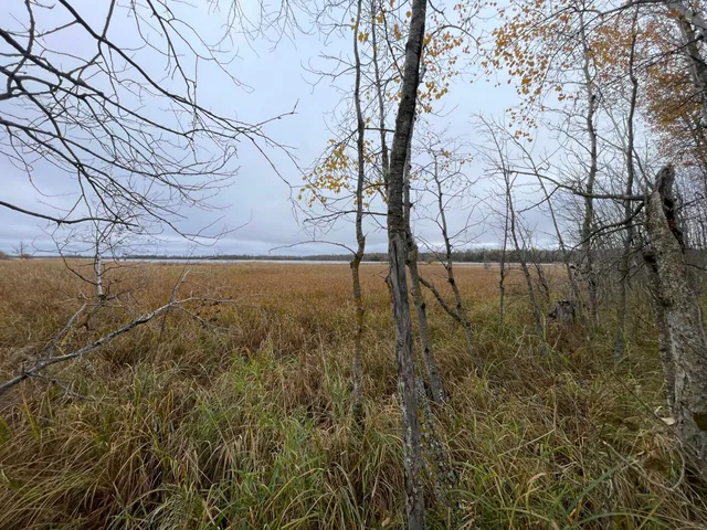 $109,000 | Tbd Tbd Road, Shevlin, MN 56676