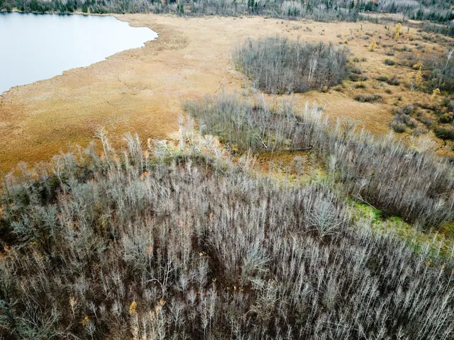 $109,000 | Tbd Upper Rice Lake Road, Shevlin, MN 56676