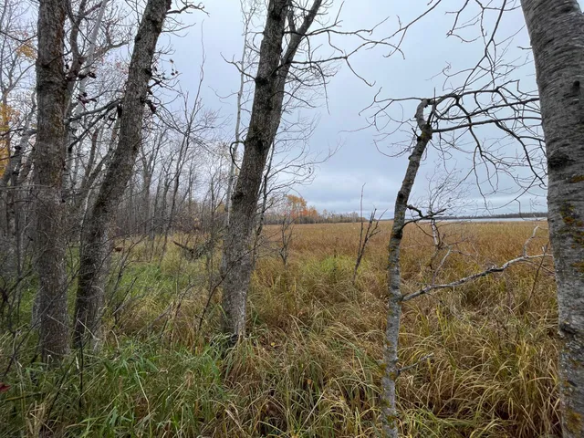 $109,000 | Tbd Tbd Road, Shevlin, MN 56676