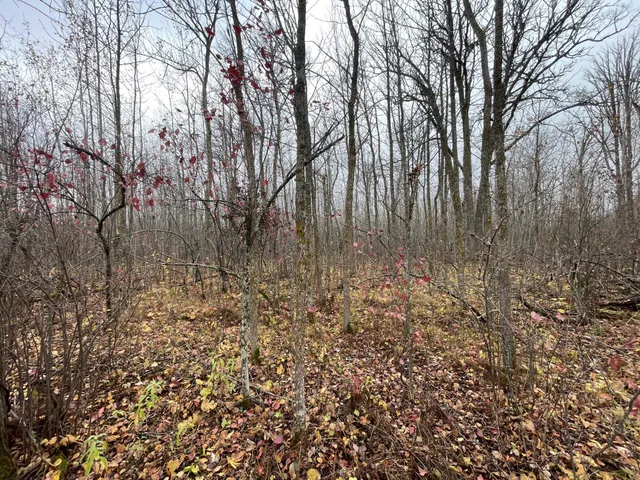 $109,000 | Tbd Tbd Road, Shevlin, MN 56676