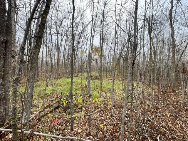 $109,000 | Tbd Upper Rice Lake Road, Shevlin, MN 56676