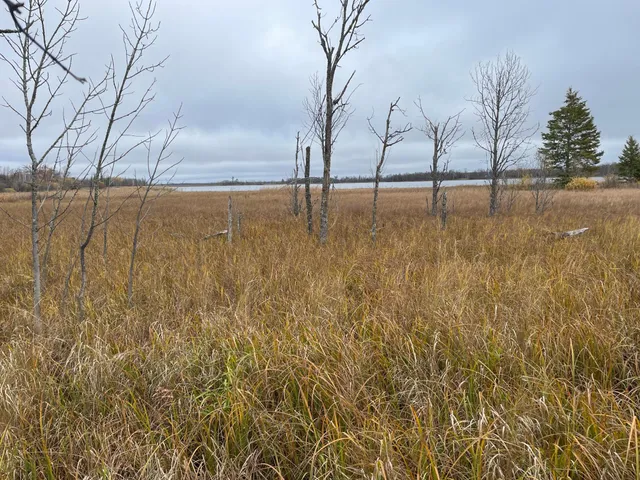 $109,000 | Tbd Tbd Road, Shevlin, MN 56676