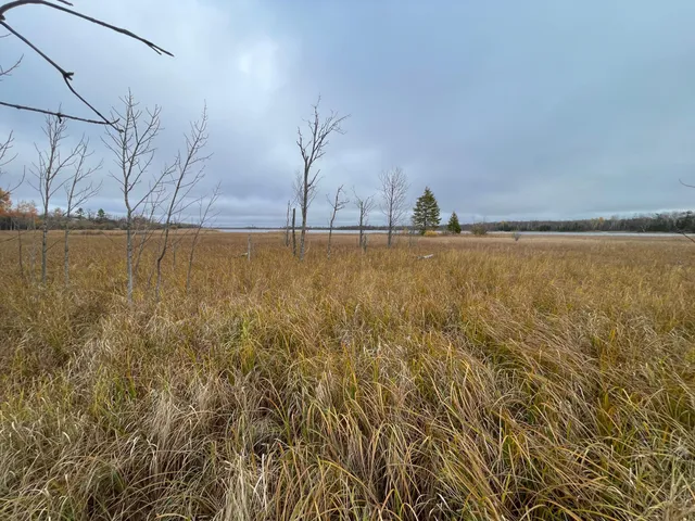 $109,000 | Tbd Tbd Road, Shevlin, MN 56676
