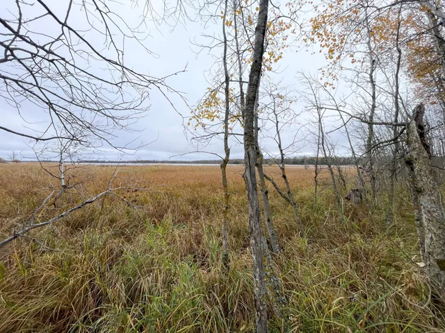 $109,000 | Tbd Upper Rice Lake Road, Shevlin, MN 56676
