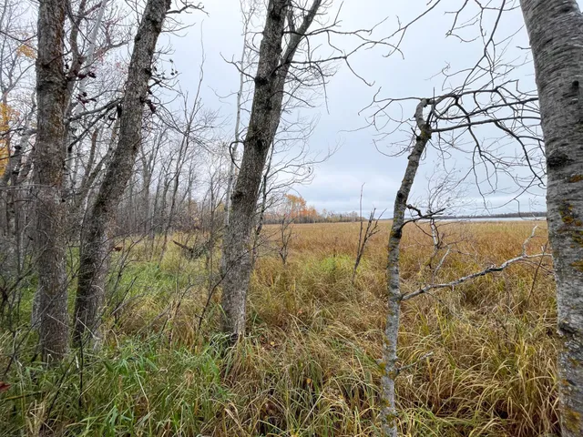 $109,000 | Tbd Upper Rice Lake Road, Shevlin, MN 56676