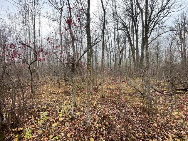 $109,000 | Tbd Upper Rice Lake Road, Shevlin, MN 56676