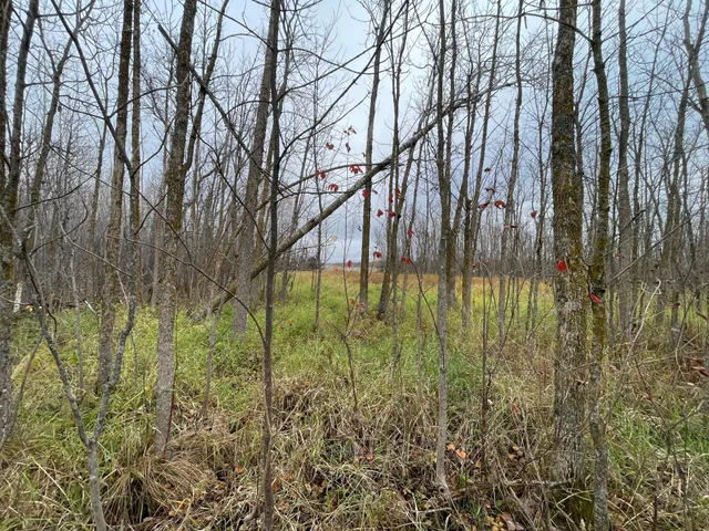 $109,000 | Tbd Tbd Road, Shevlin, MN 56676