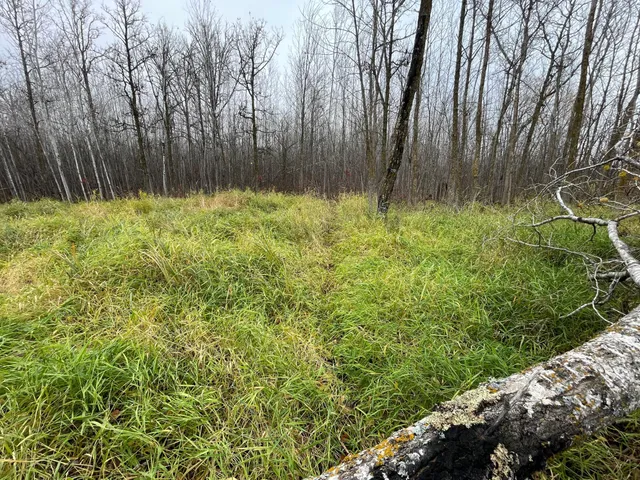 $109,000 | Tbd Tbd Road, Shevlin, MN 56676