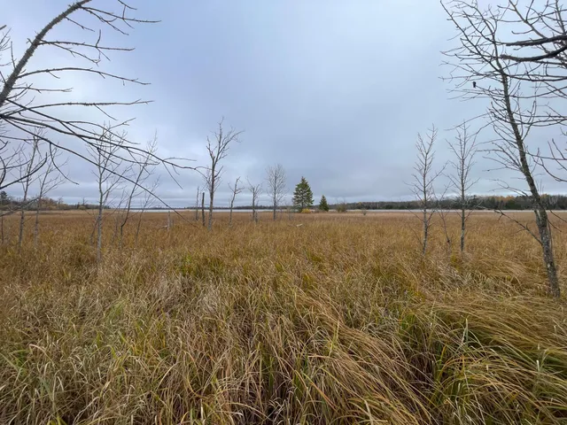 $109,000 | Tbd Upper Rice Lake Road, Shevlin, MN 56676