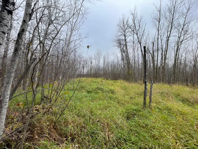 $109,000 | Tbd Tbd Road, Shevlin, MN 56676