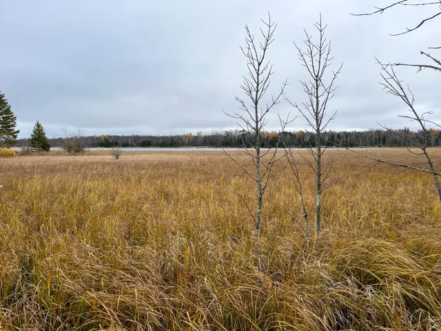 $109,000 | Tbd Upper Rice Lake Road, Shevlin, MN 56676