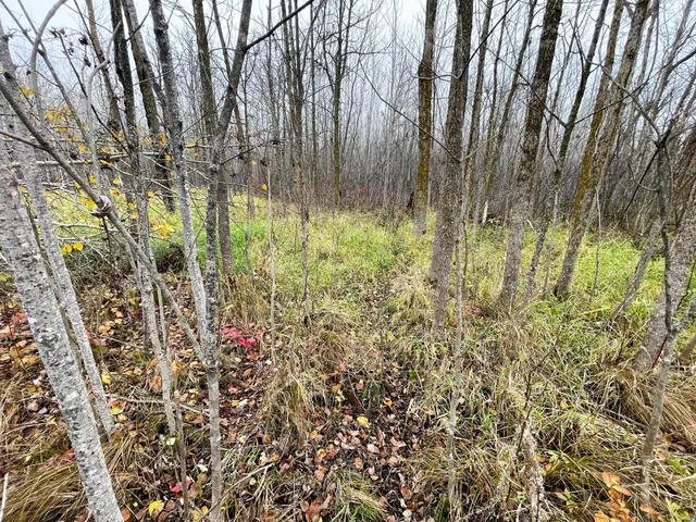 $109,000 | Tbd Upper Rice Lake Road, Shevlin, MN 56676