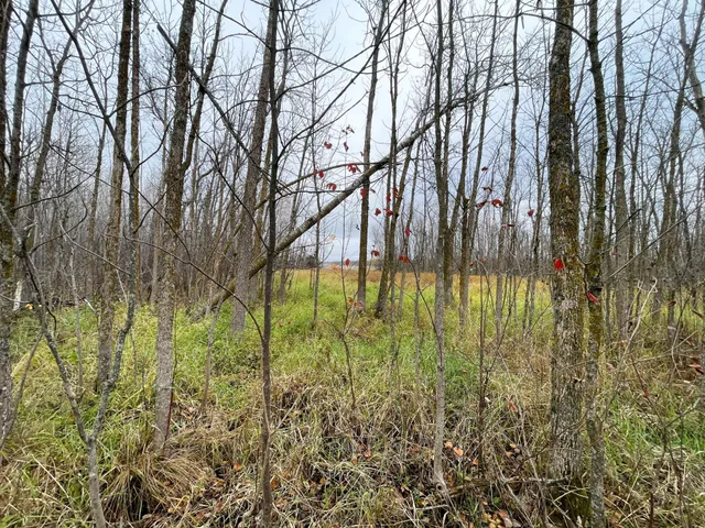 $109,000 | Tbd Upper Rice Lake Road, Shevlin, MN 56676