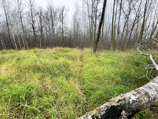 $109,000 | Tbd Upper Rice Lake Road, Shevlin, MN 56676