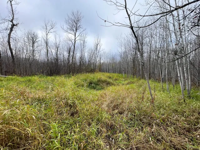 $109,000 | Tbd Upper Rice Lake Road, Shevlin, MN 56676