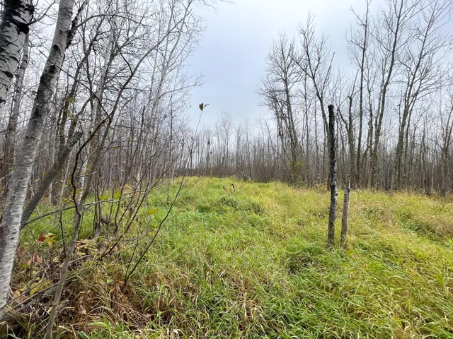 $109,000 | Tbd Upper Rice Lake Road, Shevlin, MN 56676