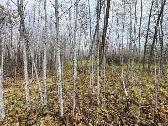 $109,000 | Tbd Upper Rice Lake Road, Shevlin, MN 56676