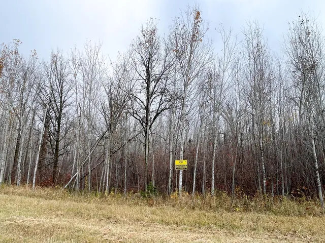 $109,000 | Tbd Upper Rice Lake Road, Shevlin, MN 56676
