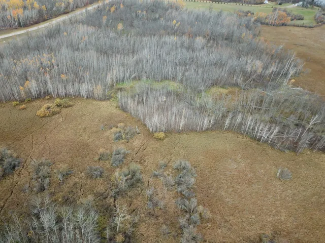 $109,000 | Tbd Tbd Road, Shevlin, MN 56676