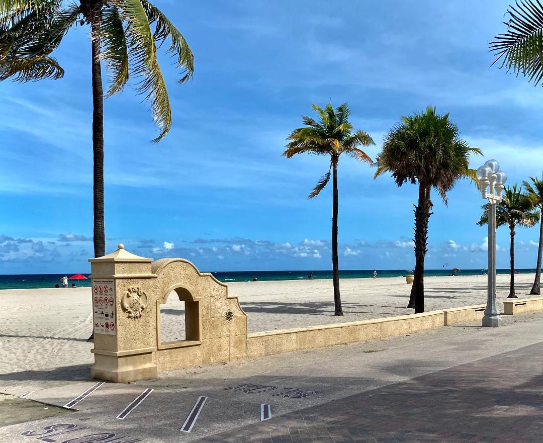 320 South Surf Road, Unit 205 Hollywood, FL 33019 - Photo 18 of 18 a view of a street with palm trees