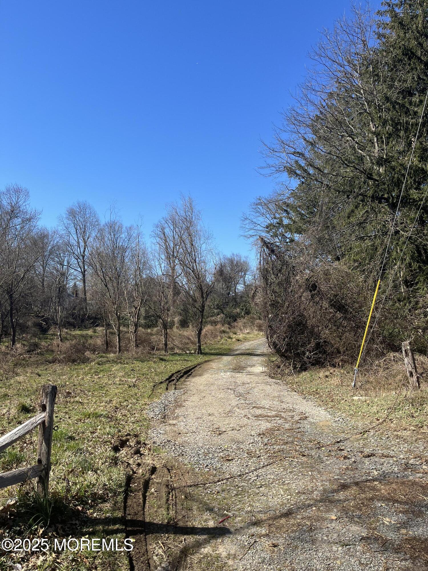 a view of backyard with green space