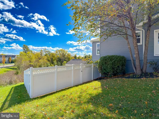a view of a backyard with potted plants and large tree