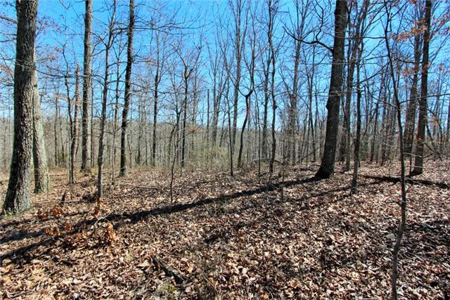 265 Bucksnort Road Only, TN 37140 - Photo 14 of 20 Gallery Image 14