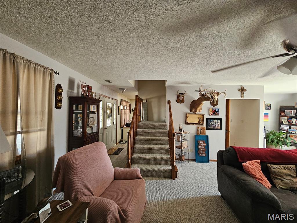 708 Walnut Street Steeleville, IL 62288 - Photo 21 of 35