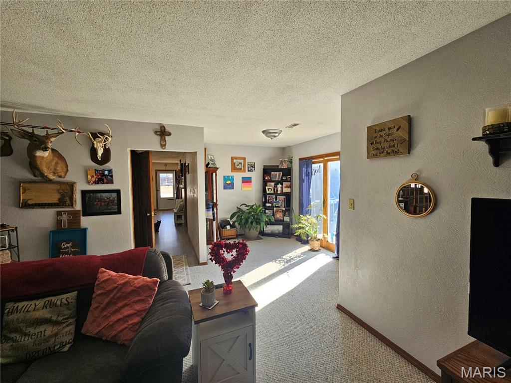 708 Walnut Street Steeleville, IL 62288 - Photo 22 of 35