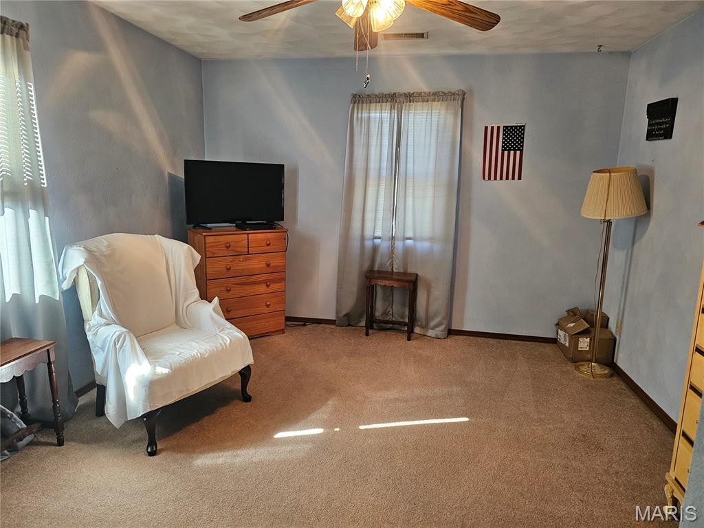 708 Walnut Street Steeleville, IL 62288 - Photo 23 of 35