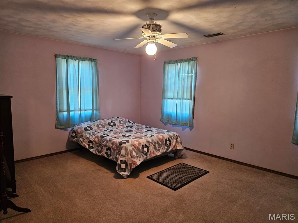 708 Walnut Street Steeleville, IL 62288 - Photo 25 of 35