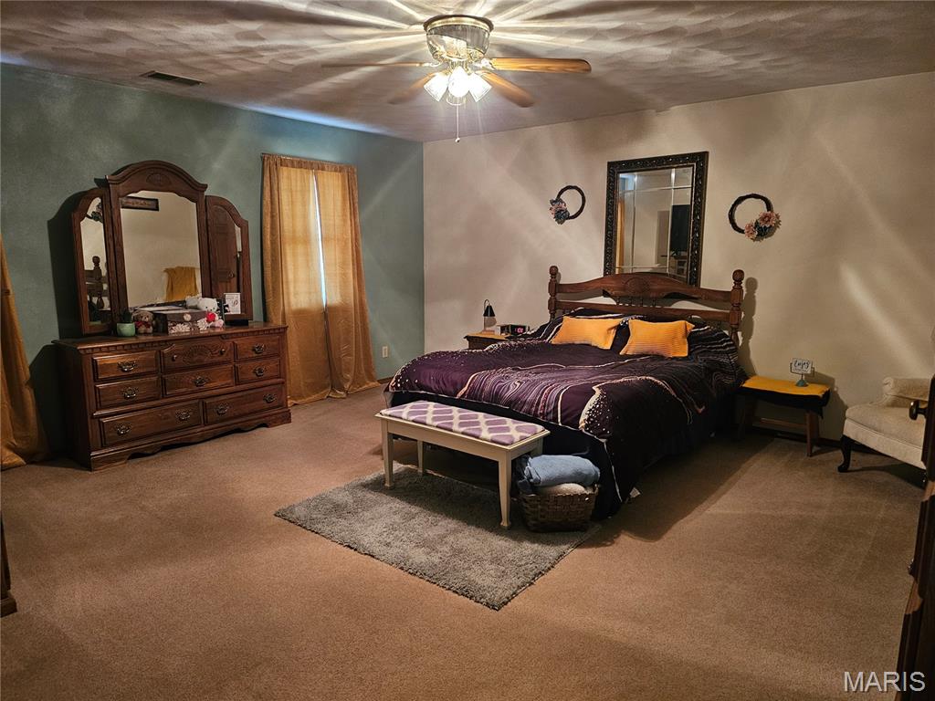 708 Walnut Street Steeleville, IL 62288 - Photo 27 of 35