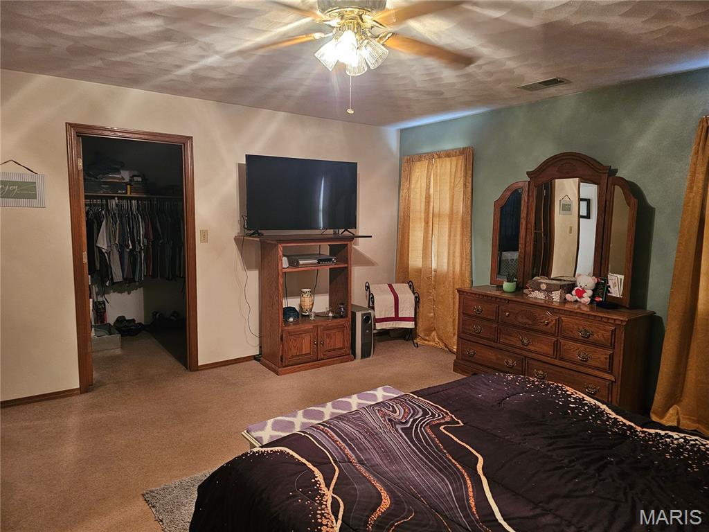 708 Walnut Street Steeleville, IL 62288 - Photo 28 of 35