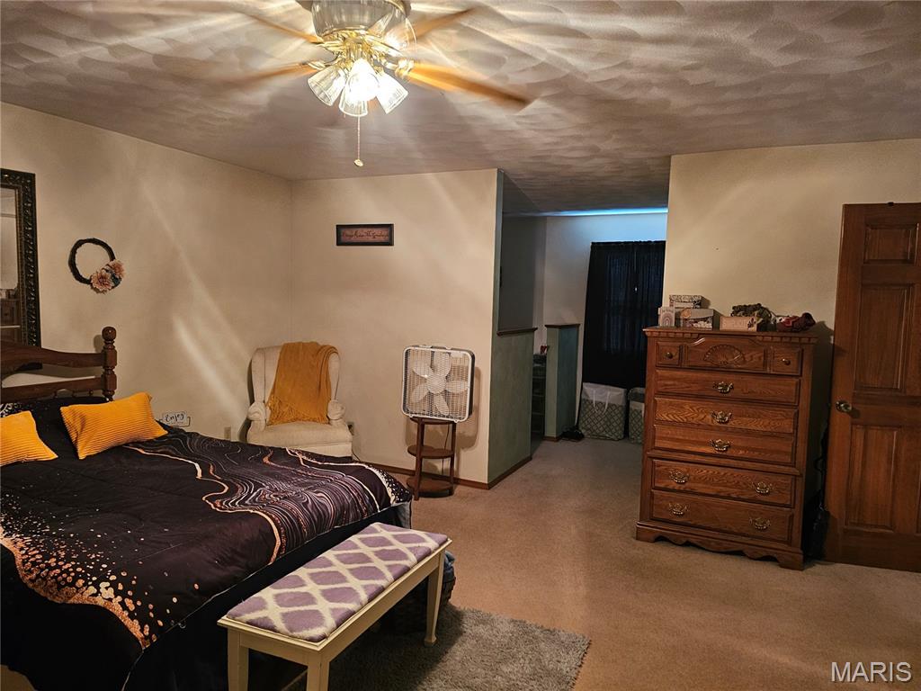 708 Walnut Street Steeleville, IL 62288 - Photo 29 of 35