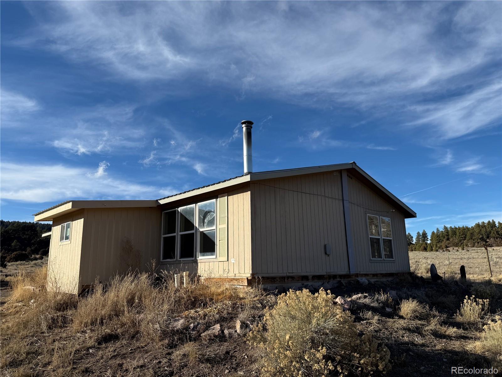 577 Fdr 101 Road Antonito, CO 81120 - Photo 3 of 40 a front view of a house with a yard