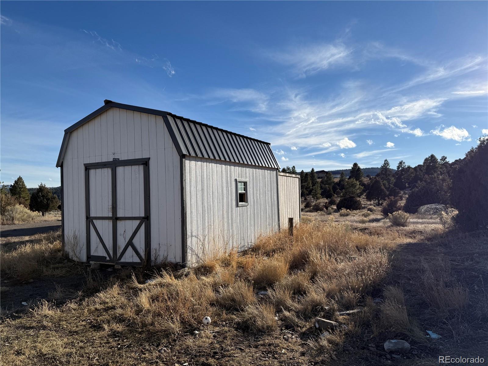 577 Fdr 101 Road Antonito, CO 81120 - Photo 36 of 40 a view of a house with backyard and trees