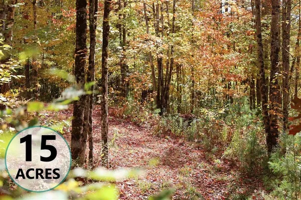 $150,000 | Row Daniels Farm Road, Waterford, VT 05819