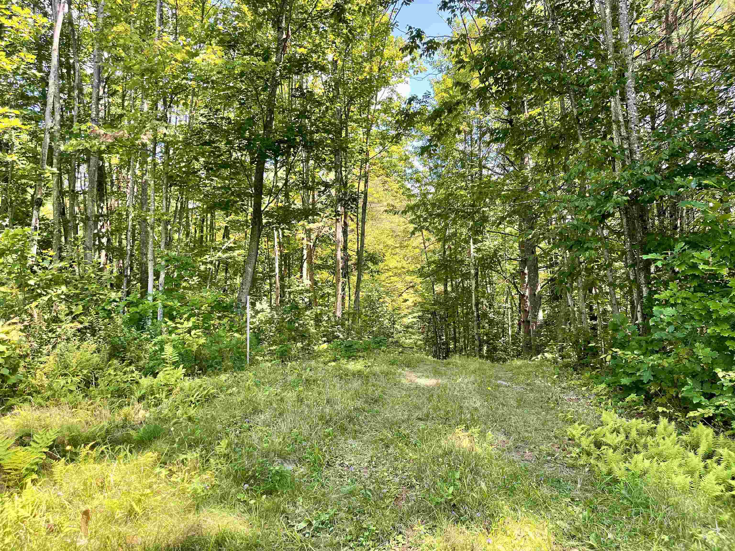Row Daniels Farm Road Waterford, VT 05819 - Photo 23 of 29