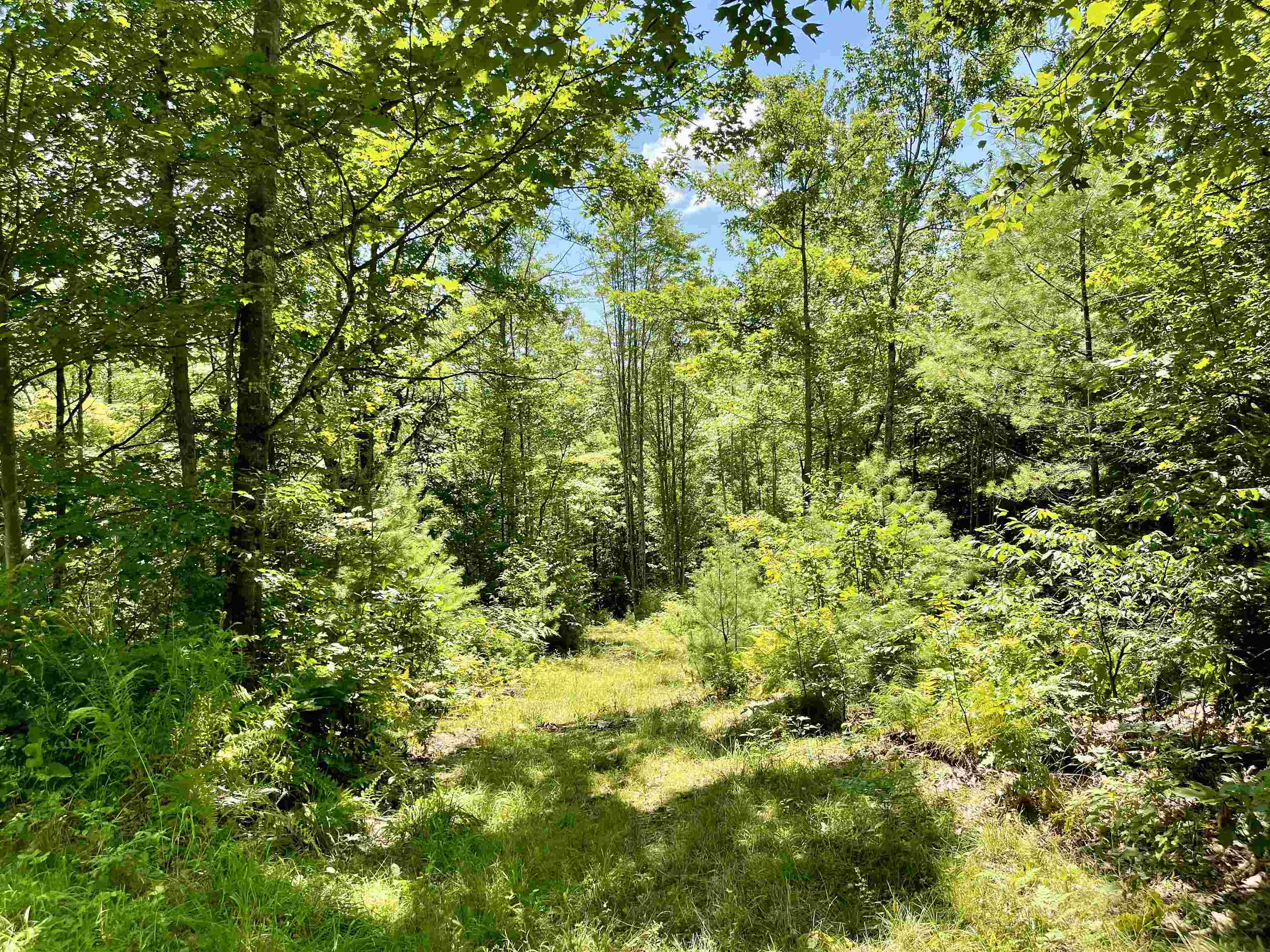Row Daniels Farm Road Waterford, VT 05819 - Photo 26 of 29