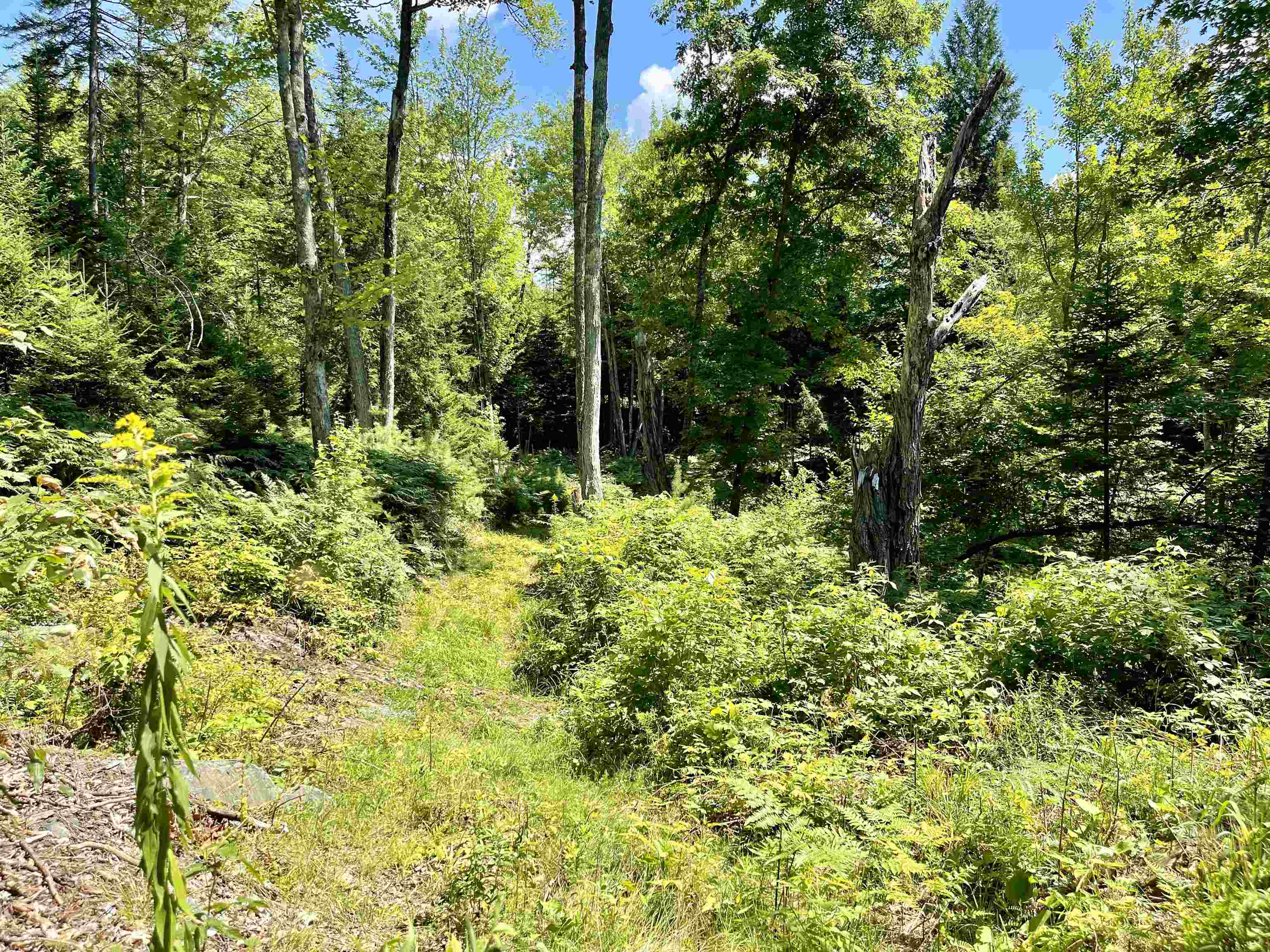 Row Daniels Farm Road Waterford, VT 05819 - Photo 27 of 29
