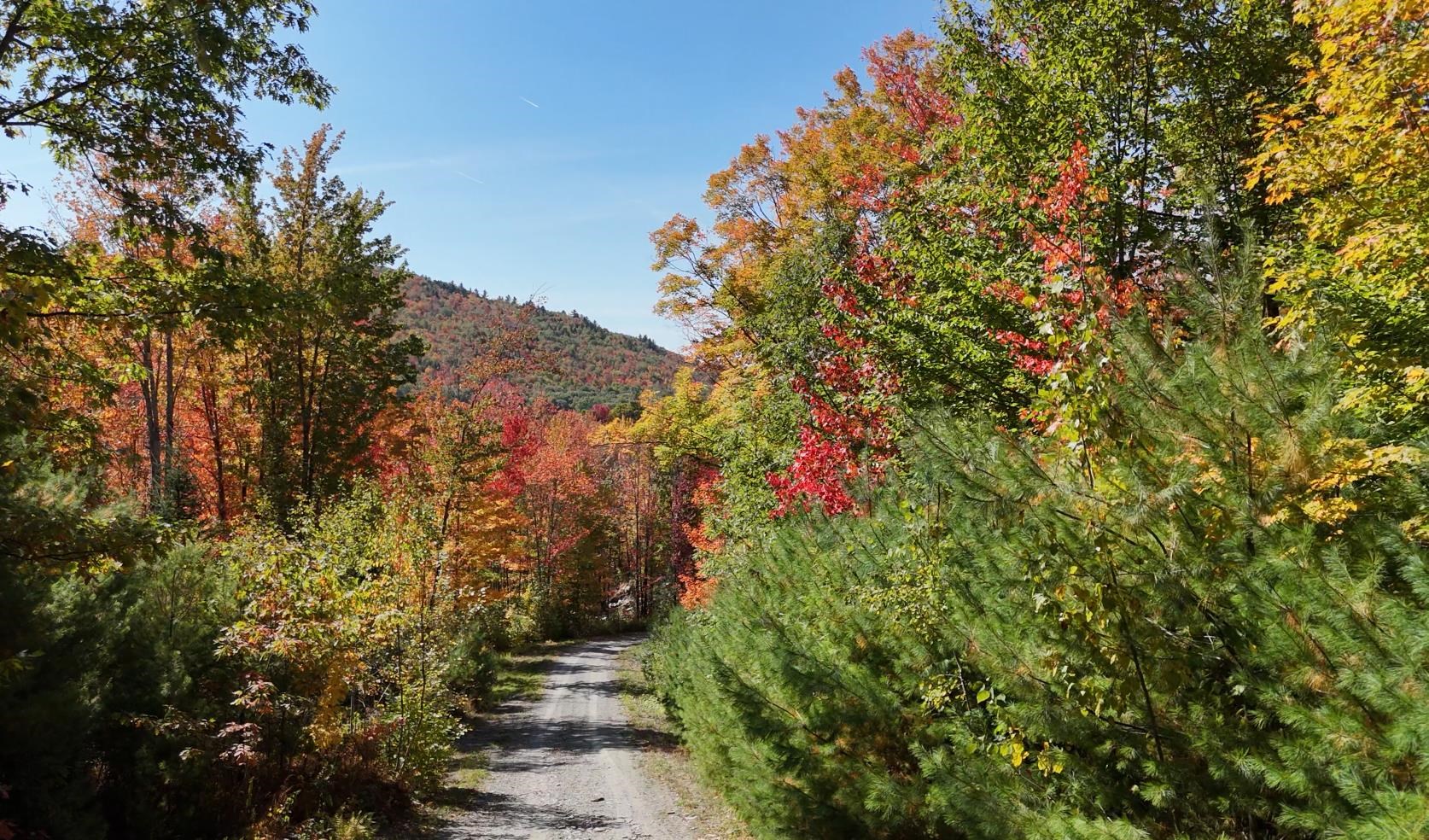 Row Daniels Farm Road Waterford, VT 05819 - Photo 8 of 29