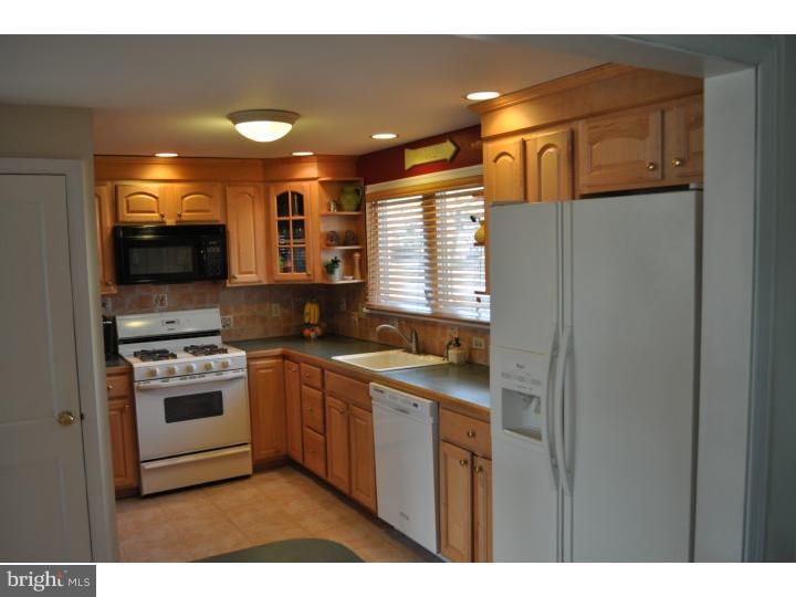 229 Overlook Road Ambler, PA 19002 - Photo 3 of 25 Kitchen