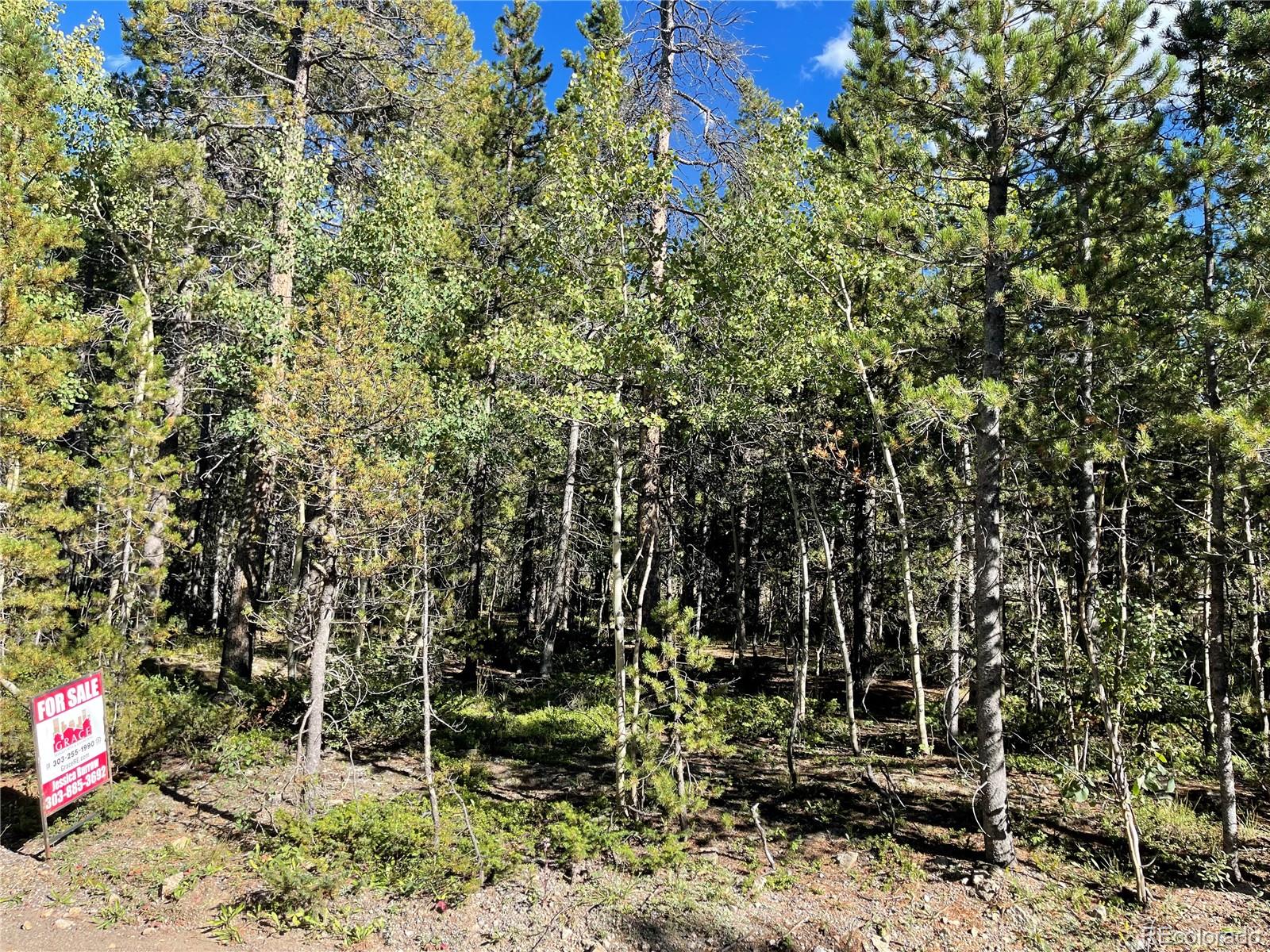 Damascus Road Black Hawk, CO 80422 - Photo 10 of 10 Gallery Image 10