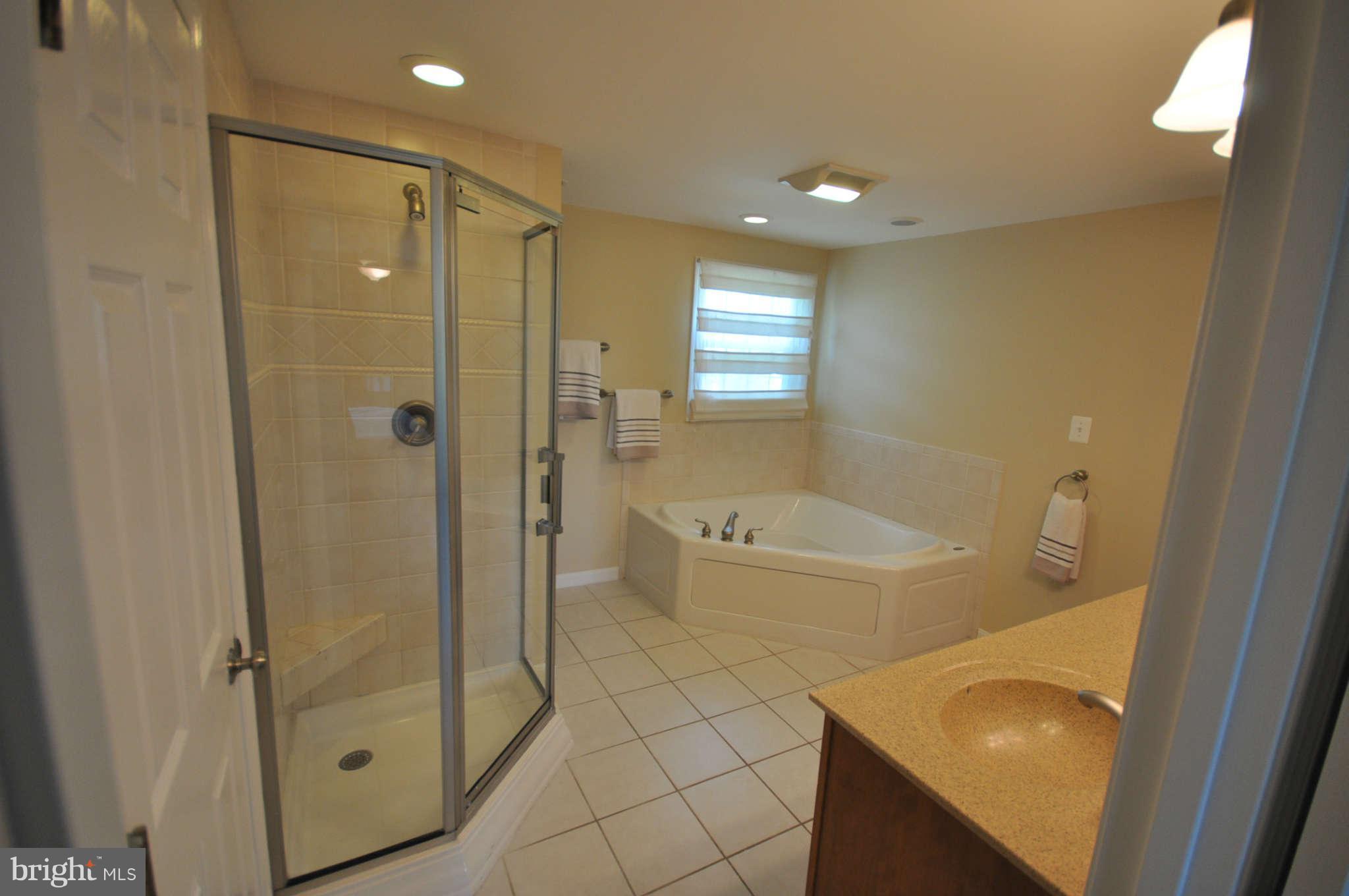 1150 Riva Ridge Drive Great Falls, VA 22066 - Photo 9 of 20 Bath (Master)