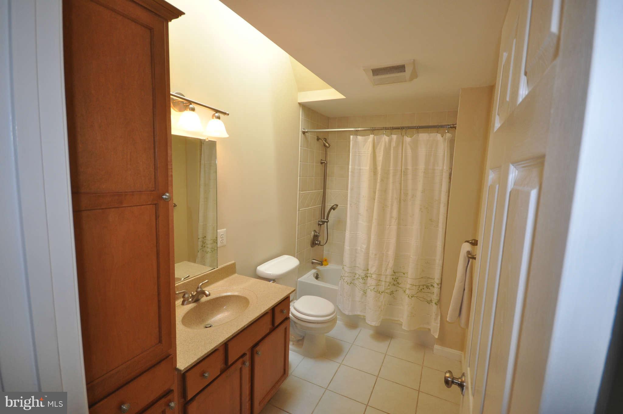 1150 Riva Ridge Drive Great Falls, VA 22066 - Photo 10 of 20 Bath