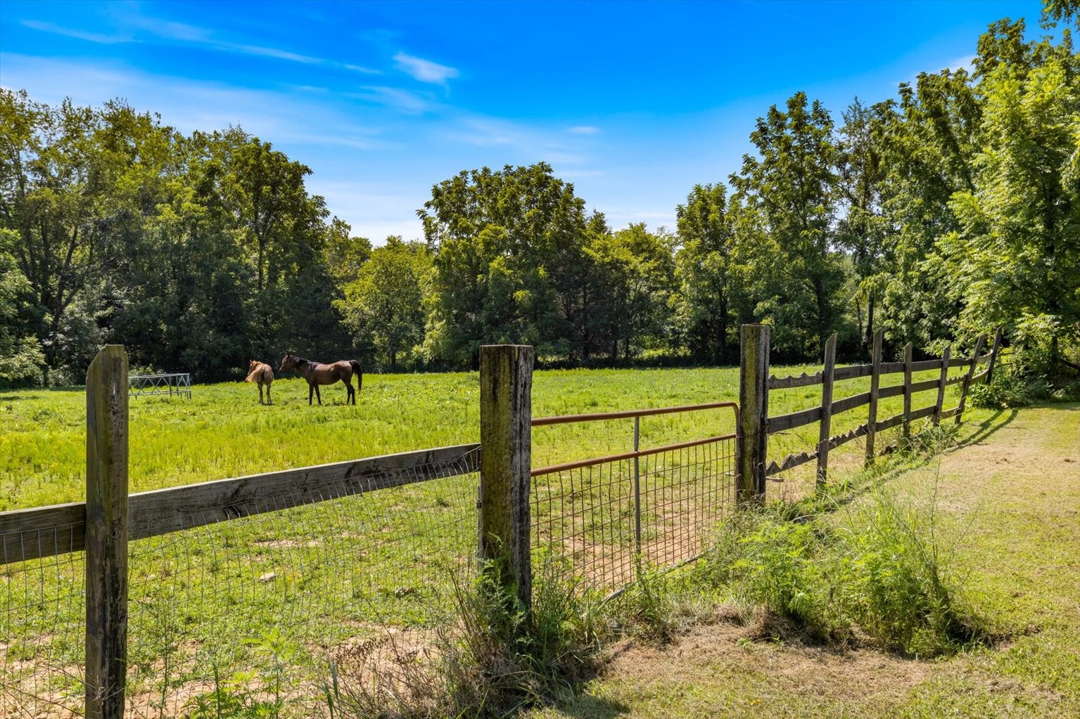399 Jernigan Road Portland, TN 37148 - Photo 29 of 40 a view of an outdoor space