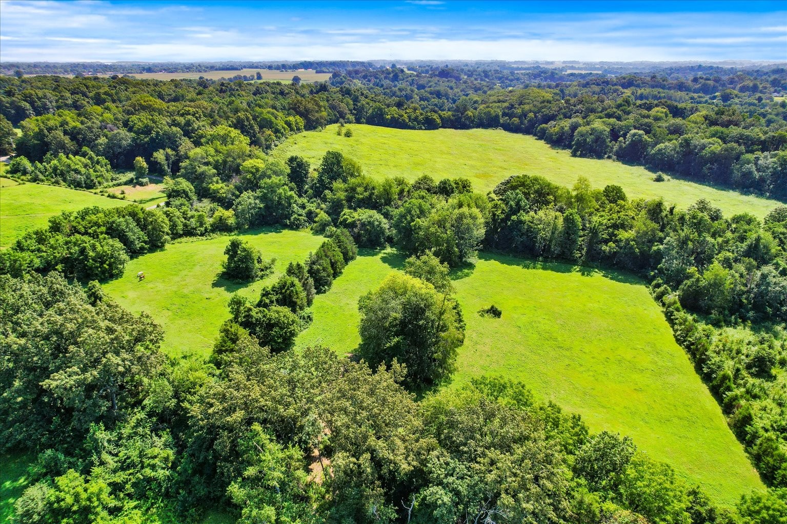 399 Jernigan Road Portland, TN 37148 - Photo 5 of 40 a view of a garden with an ocean