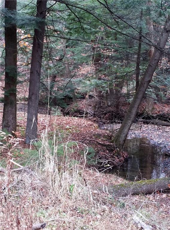 0 Hemlock Lake Road Rossiter, PA 15772 - Photo 2 of 8