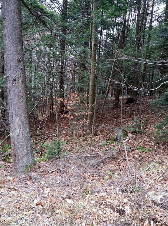 0 Hemlock Lake Road Rossiter, PA 15772 - Photo 3 of 8