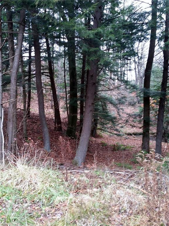 0 Hemlock Lake Road Rossiter, PA 15772 - Photo 4 of 8